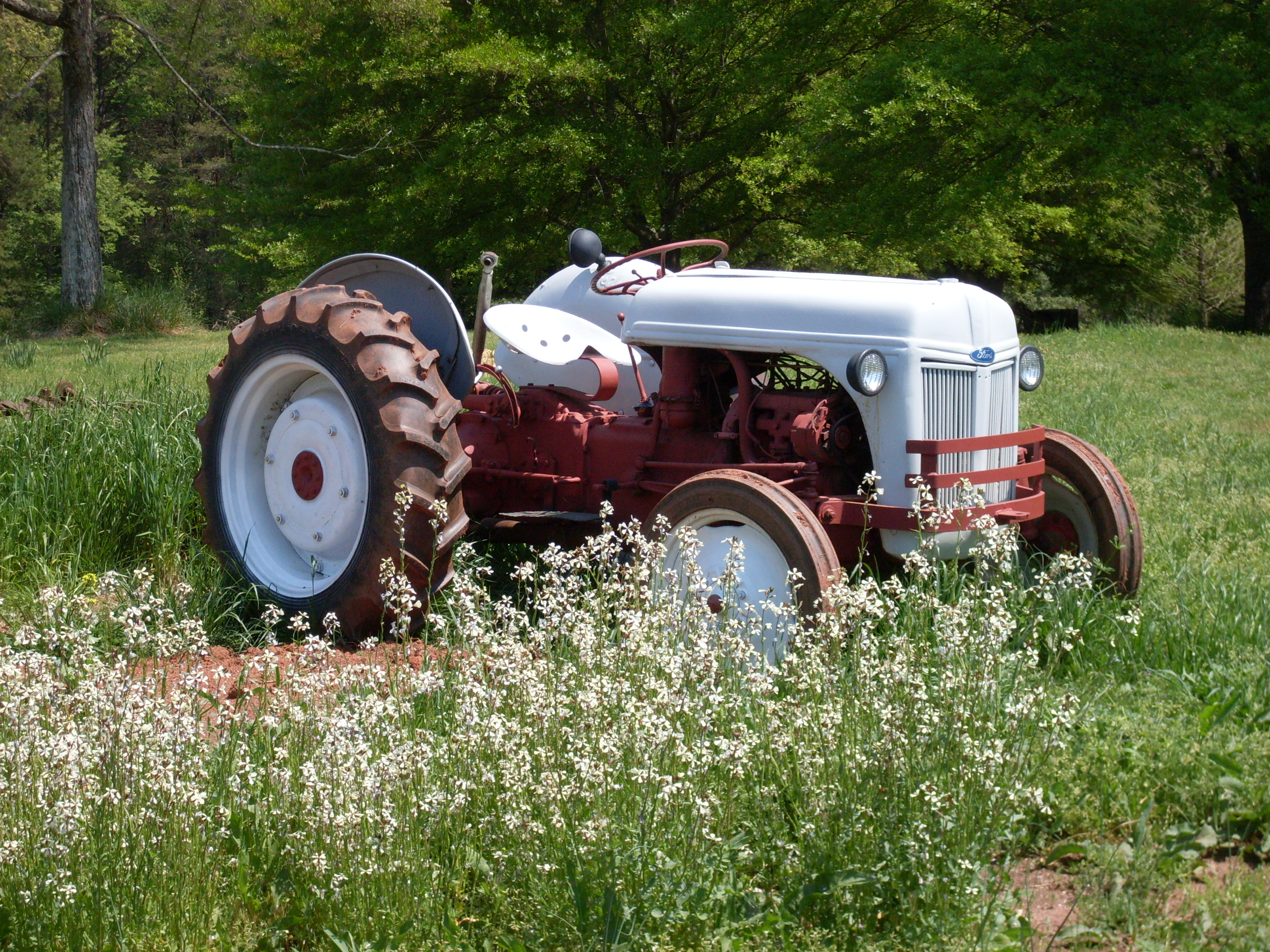 39 ford tractor